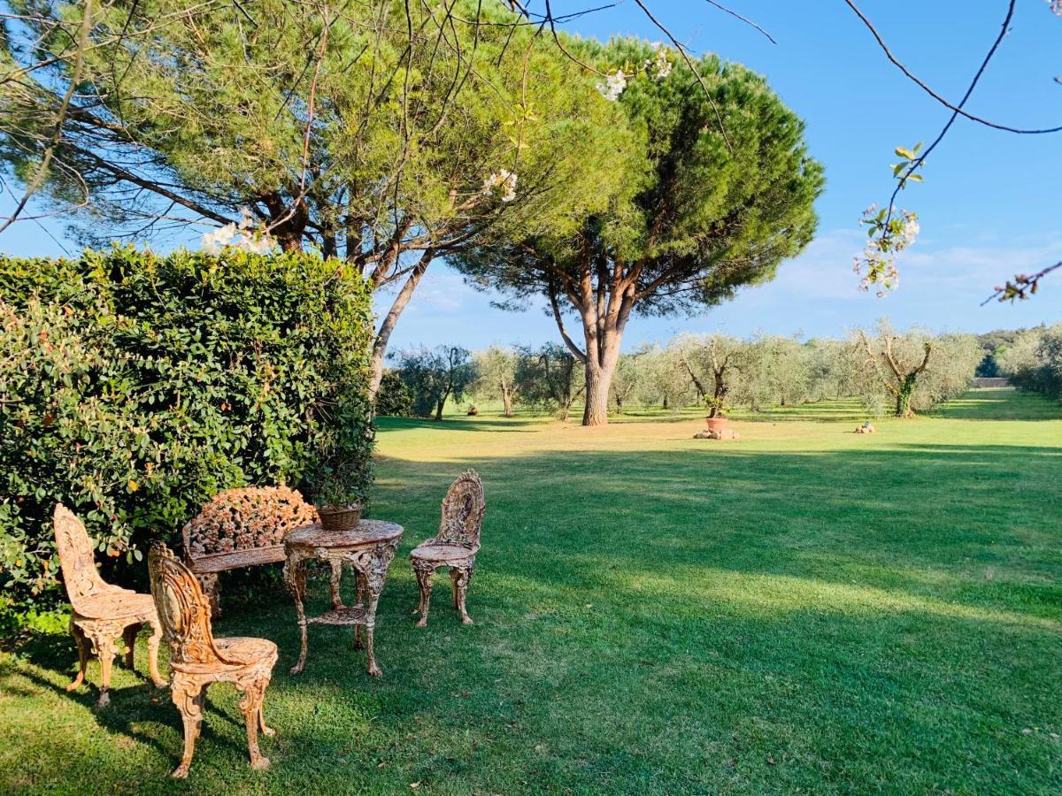 B&B Valle D'Oro Ansedónia Dış mekan fotoğraf