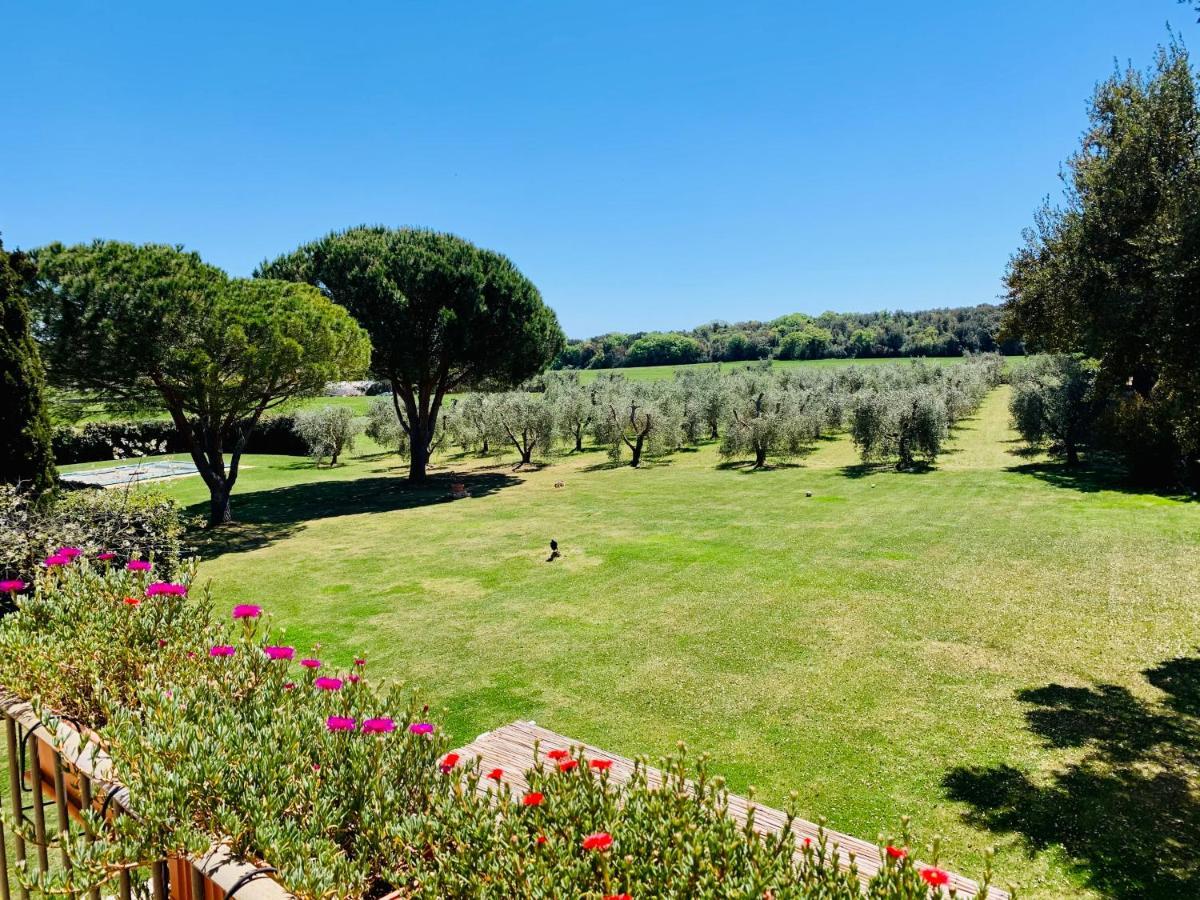 B&B Valle D'Oro Ansedónia Dış mekan fotoğraf