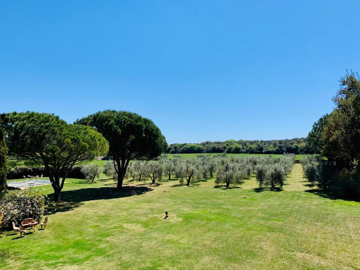 B&B Valle D'Oro Ansedónia Dış mekan fotoğraf