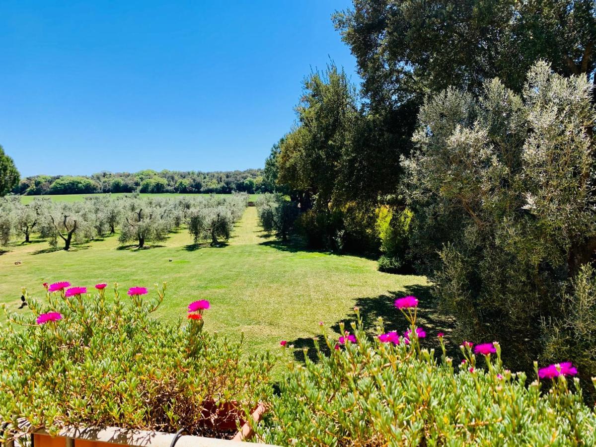 B&B Valle D'Oro Ansedónia Dış mekan fotoğraf