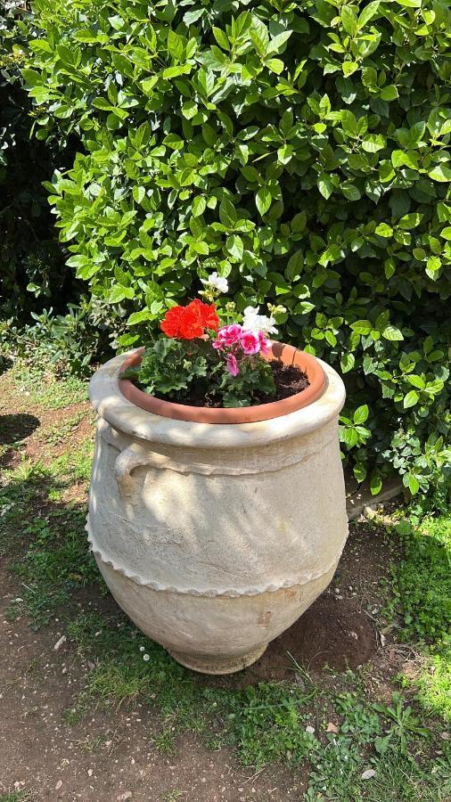 B&B Valle D'Oro Ansedónia Dış mekan fotoğraf