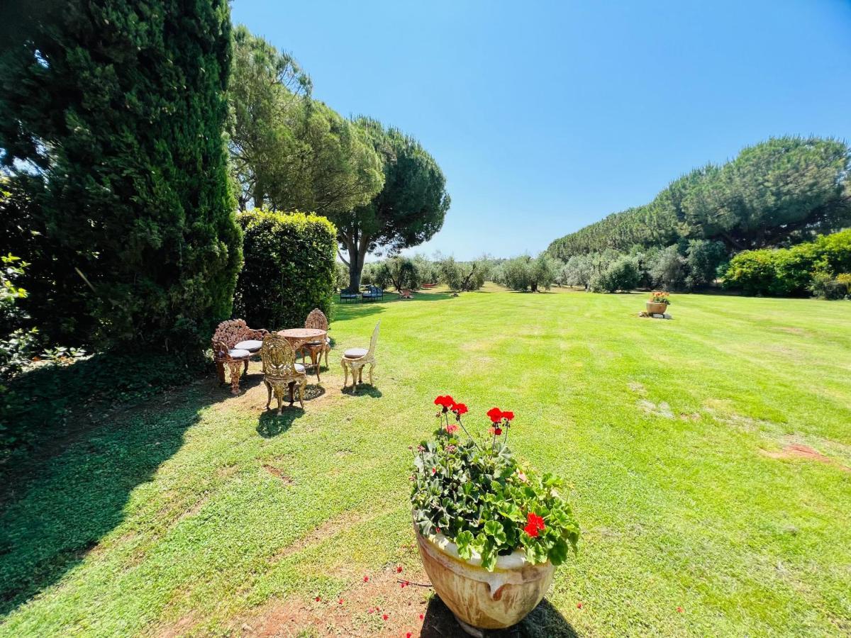 B&B Valle D'Oro Ansedónia Dış mekan fotoğraf